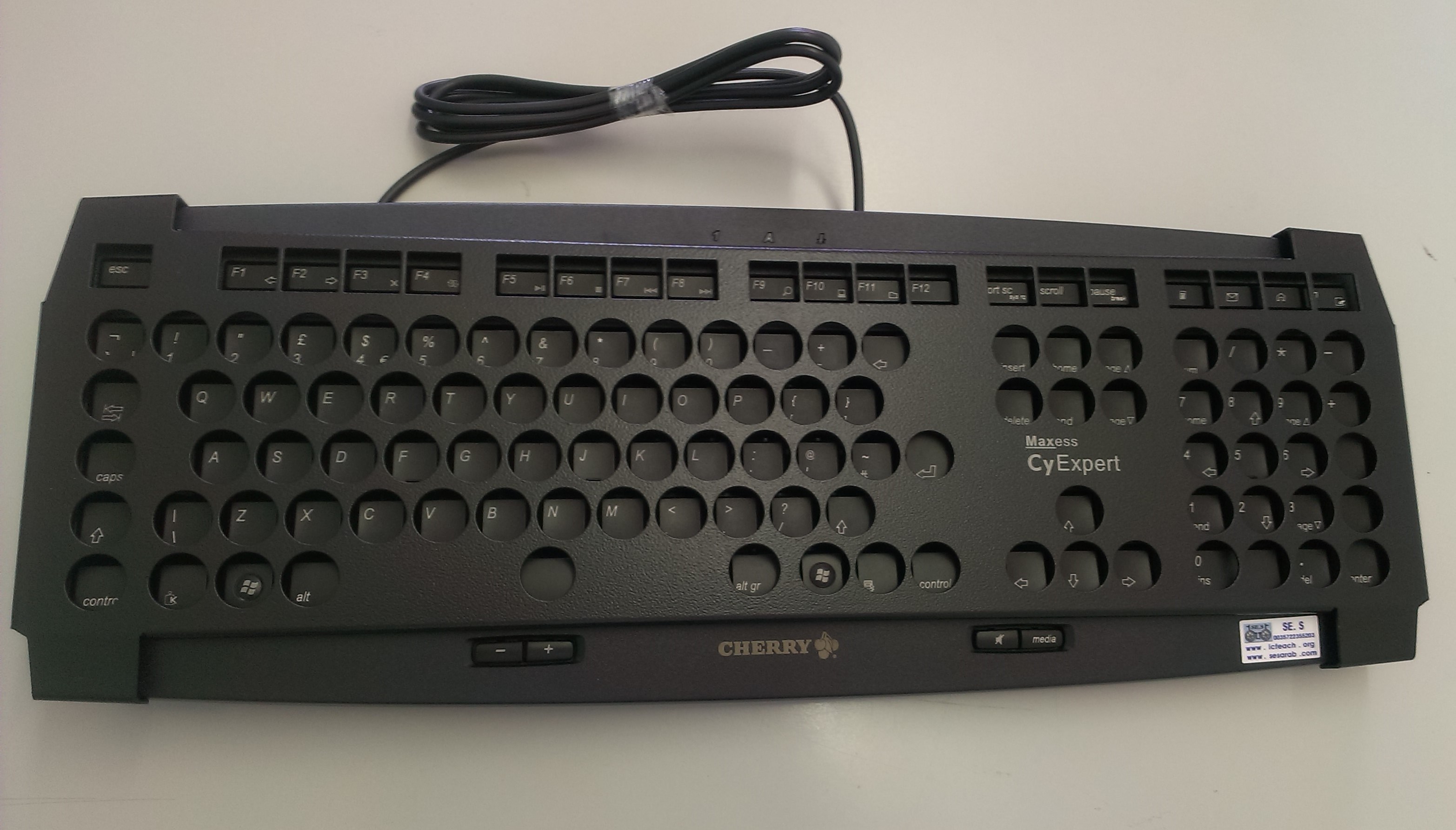 Standard keyboard with keyguard